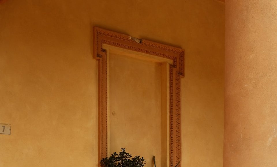 Plants and benches sit in an architectural interior.